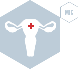 КОМПЛЕКСНОЕ ГИНЕКОЛОГИЧЕСКОЕ ОБСЛЕДОВАНИЕ